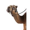 Image 3 : Original G.C. Wentworth "Arab on Camel" Sculpture