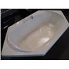 Image 2 : BRAND NEW BATH TUB