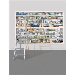 PROPERTY FROM THE PISCES TRUST DAMIEN HIRS...