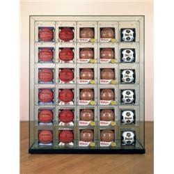 PROPERTY FROM THE PISCES TRUST JEFF KOONS ...