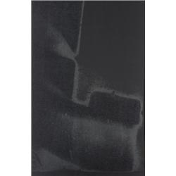 ANDY WARHOL (1928-1987) DIAMOND DUST SHADO...