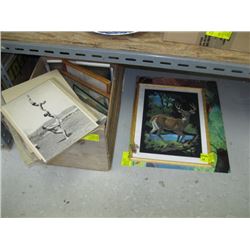 1 SUNKIST ORANGE BOX WITH ASSORTED PICTURES AND BOOKS