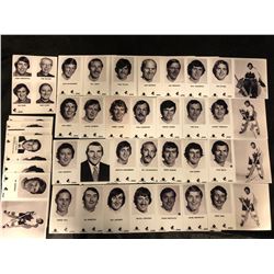 1971-72 SUMMIT SERIES TEAM PHOTO CARDS (TEAM CANADA)