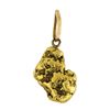 Image 1 : 16.5 Gram Total Weight California Gold Nugget Pendant