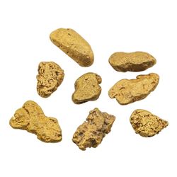 Lot of Gold Nuggets 5.5 grams Total Weight