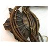 Image 3 : BELT - LARGE BUCKLE - 31"