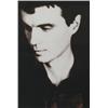 Image 1 : RICHARD PRINCE (b. 1949) DAVID BYRNE signe...