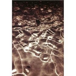 WOLFGANG TILLMANS (b. 1968) NIGHT SWIMMER ...