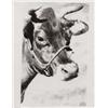 Image 1 : ANDY WARHOL (1928-1987) REVERSAL COW stamp...