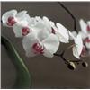 Image 1 : GERHARD RICHTER (b. 1932) ORCHID (VERSION ...