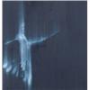 Image 1 : ROSS BLECKNER (b. 1949) FALLING BIRD oil o...