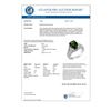 Image 2 : 4.55 CTW Green Tourmaline & Diamond Ring 14K White Gold - REF-121H5A - 11606