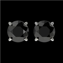 1.50 CTW Fancy Black VS Diamond Solitaire Stud Earrings 10K White Gold - REF-35Y3K - 33072