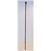 Image 1 : 1891 WALKING STICK w/Sterling Top Band