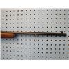 Image 3 : DP***  Remington Model 5 25 .22 Short long or long rifle bolt action clip Tasco 2-6 x 20 scope