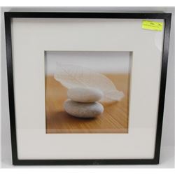 FRAMED NATURE PRINT 21 X 21