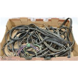 BUNGEE CORD FLAT LARGE