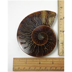 5 - HUGE AMMONITE SPLIT FOSSIL