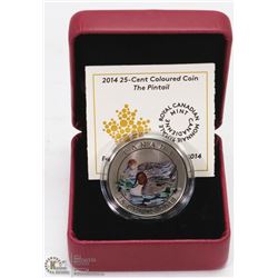 RCM THE PINTAIL COLOURED  LIMITED MINTAGE