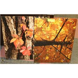 2 CANVAS AUTUMN  PICTURES 16"X20"