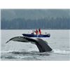 Image 2 : 4-5 Day Trip for 2 to Langara Fishing Lodge in Haida Gwaii with Travel and Accomodation