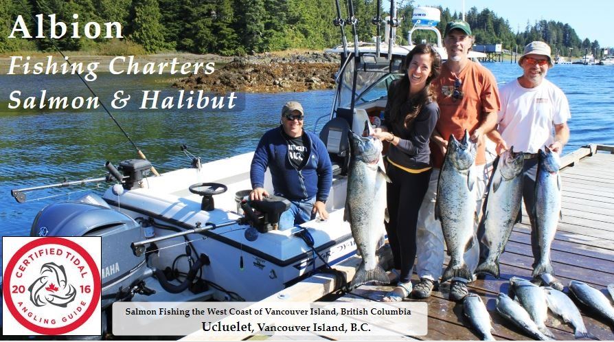 Albion Fishing Charter Trip for 2 with 2-8 Hour Guided Fishing Trip and