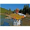 Image 3 : 2 Day Fly Fishing Trip for 2 in Fernie, BC with Fernie Wilderness Adventures