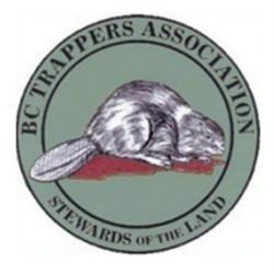 Life Membership to the BC Trappers Association. $1,000 Value!