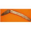 Image 1 : Arrow Point and Bone