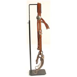 Silver Bit and Headstall