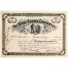 Image 1 : Val Verde Copper Company Ltd. Stock Certificate