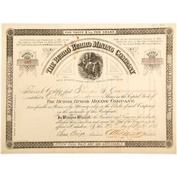 Burro Burro Mining Company Stock Certificate