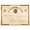 Image 1 : Burro Burro Mining Company Stock Certificate