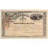 Image 1 : Gunsight Mining Company Stock Certificate