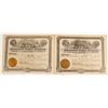 Image 1 : Chesterfield Copper Company Stock Certificates