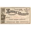 Image 1 : Essex Mining Company Stock Certificate