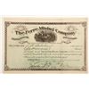 Image 1 : Ferre Mining Company Stock Certificate