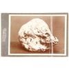 Image 1 : Black and White Mounted Gold Nugget Photo