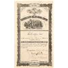 Image 1 : The Colorado & New England Mining Company Stock Certificate