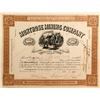 Image 1 : Montrose Mining Co. Stock Certificate, Ouray, Colorado 1887