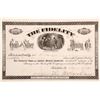 Image 1 : The Fidelity Gold and Silver Mining Company Stock Certificate