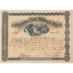 Tallapoosa Land, Mining & Mfg. Co. Stock Certificate