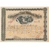 Image 1 : Tallapoosa Land, Mining & Mfg. Co. Stock Certificate