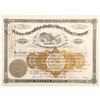Image 1 : St. Peters Consolidated Gold & Silver Mining Co. Stock Certificate