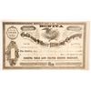 Image 1 : Bonita Gold & Silver Mining Co. Stock Certificate, Lander County, Nevada Territory, 1863