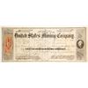 Image 1 : United States Mining Co. Stock Certificate, Storey County, Nevada Territory, 1863
