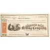 Image 1 : Mammoth Cave Mining Co. Stock Certificate, White Pine Co., NV 1869