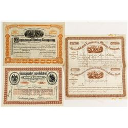 Three Different Mexican Mining Stock Certificates