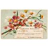 Image 1 : Sacramento Saloon Advertising Card: Canada Saloon