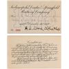 Image 1 : Indianapolis, Decatur & Springfield Railway Co. Pass, 1878